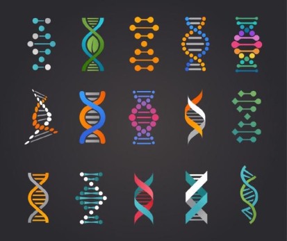DNA-Spirals2